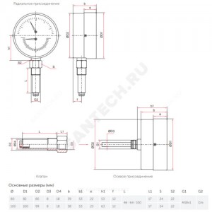 Манометр ТМ-810Р.00 радиальный Дк250мм 0-2,5 МПа М20х1,5 Росма 00000009033
